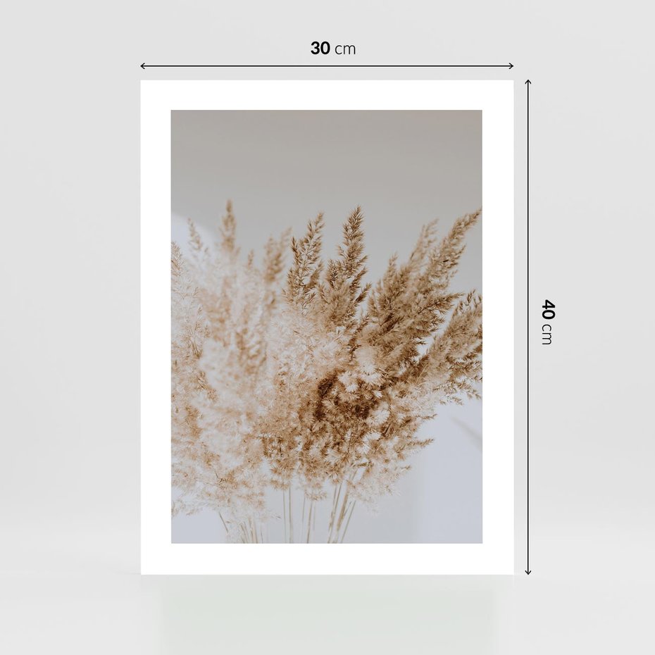 Plakat bez ramy 30x40 - Boho Urok Traw Pampasowych - suche trawy, pampas