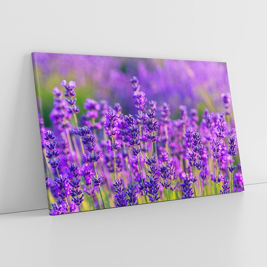 Obraz na płótnie 120x80 - Zaklęta lawenda - lawenda, kwiaty