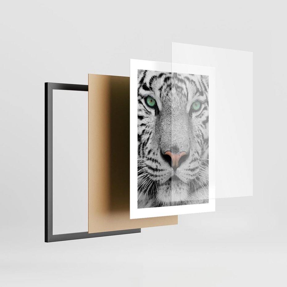 Plakat w ramie 30x40 - Magia Białego Tygrysa - biały, tygrys - rama czarna