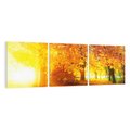 Obraz na płótnie 150x50 - Magia jesiennego lasu - las, drzewa