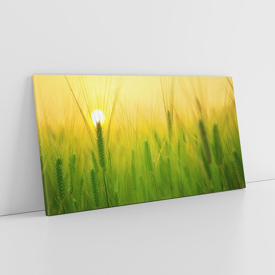 Obraz na płótnie 140x70 - Zboże w kłosach: Oda do plonów natury - zboże, kłos