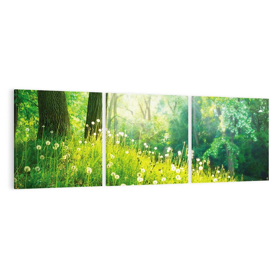 Obraz na płótnie 120x40 - Urok natury - magiczny las na płótnie - las, trawa