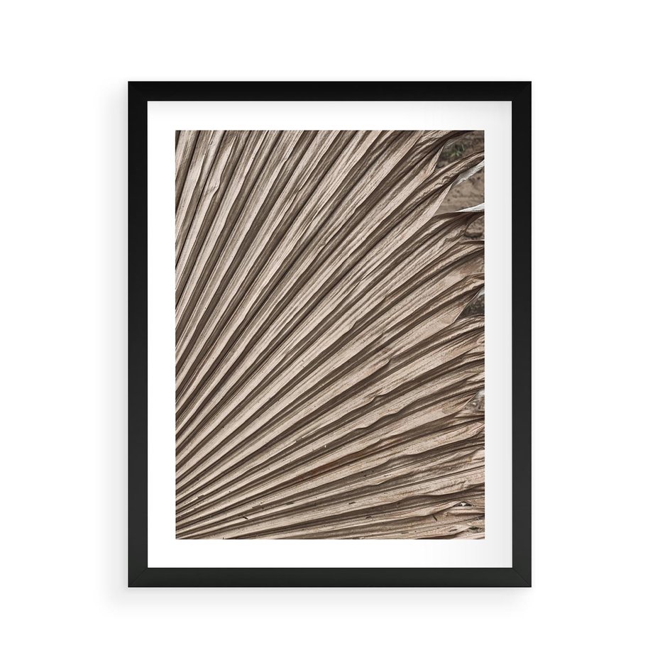 Plakat w ramie 40x50 - Liść Palmy w Wyjątkowej Kompozycji - suchy liść palmy, boho styl - rama czarna