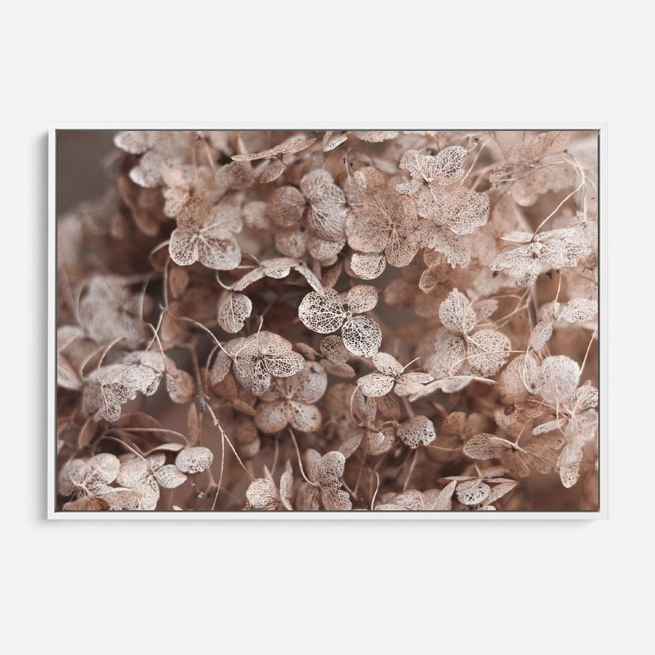 Obraz w ramie 70x50 - Przemijająca Piękność - fotografia, zbliżenie - rama biała