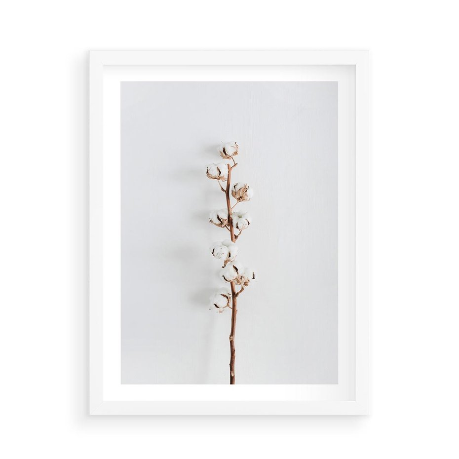 Plakat w ramie 50x70 - Minimalistyczna Gałązka Bawełny - bawełna, gałązka bawełny - rama biała