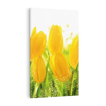 Obraz na płótnie 80x120 - Tulipany - szczyt kwiatowego piękna - tulipany, kwiaty