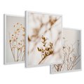 Zestaw obrazy w ramie 30x40 galeria - Suche, kwiaty, boho, trawy - rama biała