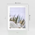 Plakat w ramie 40x50 - Sukulentowe liście - liście, sukulenty - rama biała