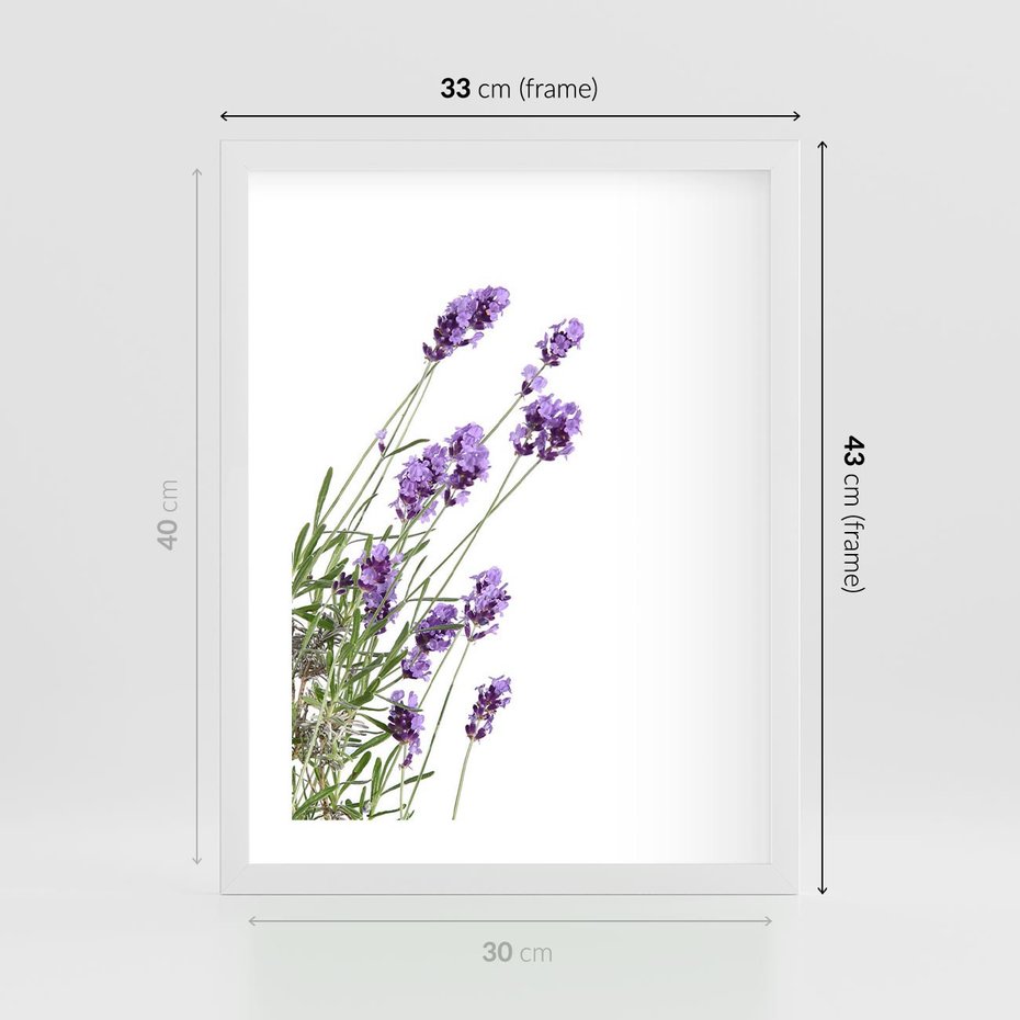 Plakat w ramie 30x40 - Delikatny Urok - lawenda, kwiaty - rama biała