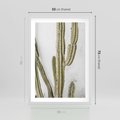 Plakat w ramie 50x70 - Kaktus w Stylu Boho - kaktus, roślina tropikalna - rama biała