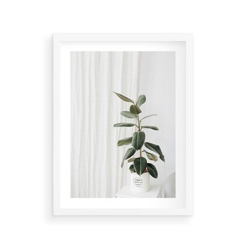 Plakat w ramie 40x50 - Kwiat w Bieli - kwiat w doniczce, białe wnętrze - rama biała