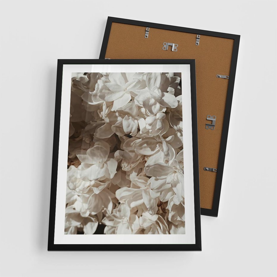 Plakat w ramie 50x70 - Płatki w Detalu - białe kwiaty, zbliżenie - rama czarna