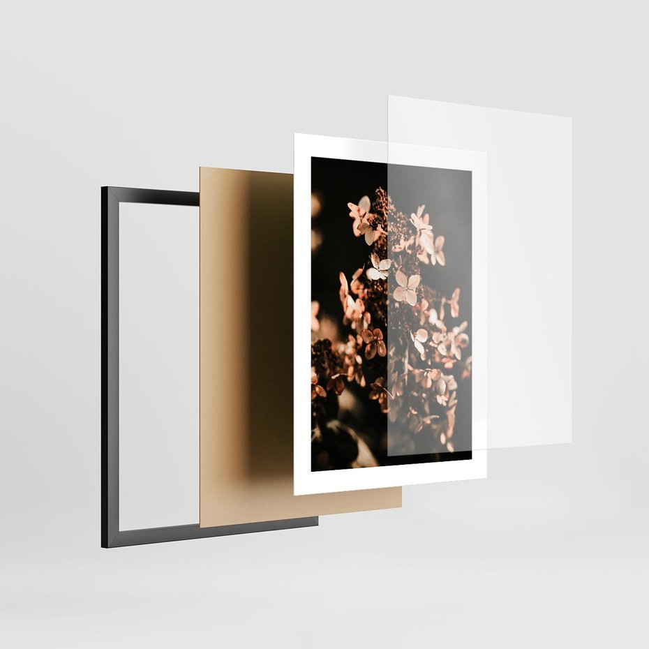 Plakat w ramie 30x40 - Hortensja - Suchy Kwiat w Sztuce - hortensja, suchy kwiat - rama czarna