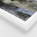 Plakat w ramie 30x40 - Wilk w Zimowym Lesie - wilk, las - rama biała