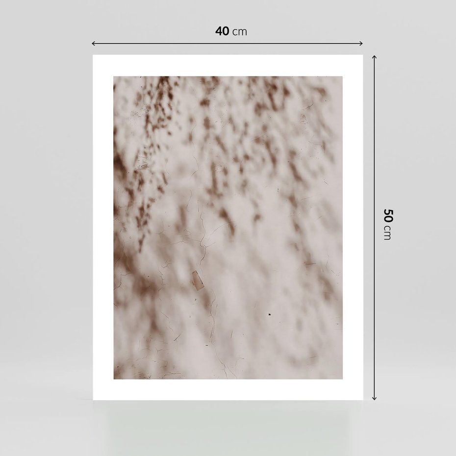 Plakat bez ramy 40x50 - Cień Gałęzi - beżowa ściana, cień gałęzi