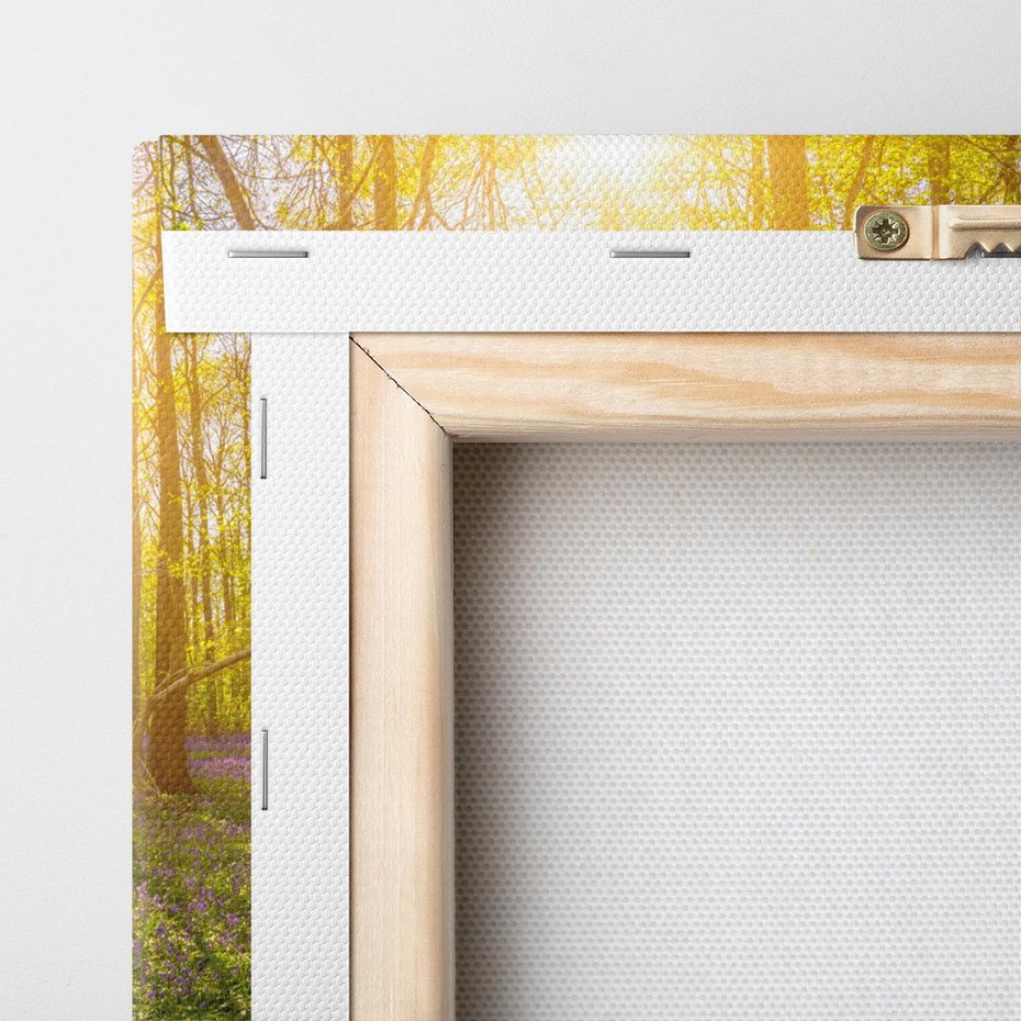 Obraz na płótnie 30x30 - Uroda lasu: harmonia drzew - las, drzewa