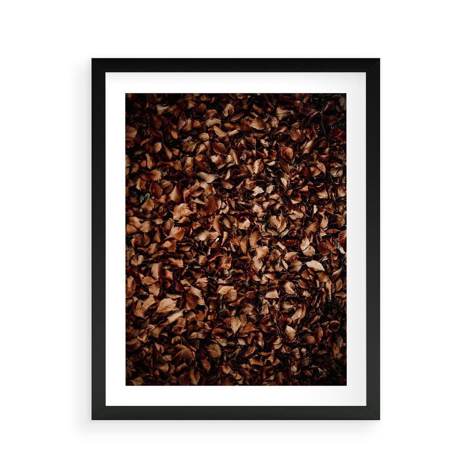 Plakat w ramie 40x50 - Jesienny Dywan - dywan z suchych liści, jesień - rama czarna