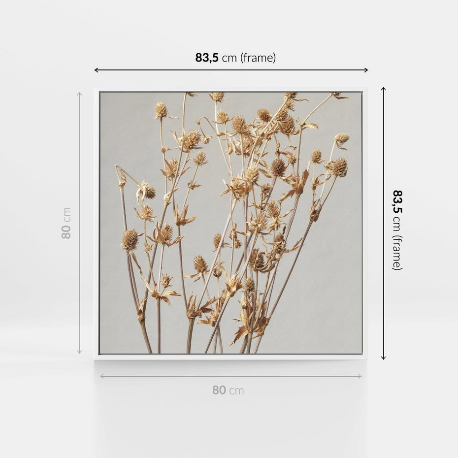 Obraz w ramie 80x80 - Delikatne gipsówki - gipsówka, suche - rama biała