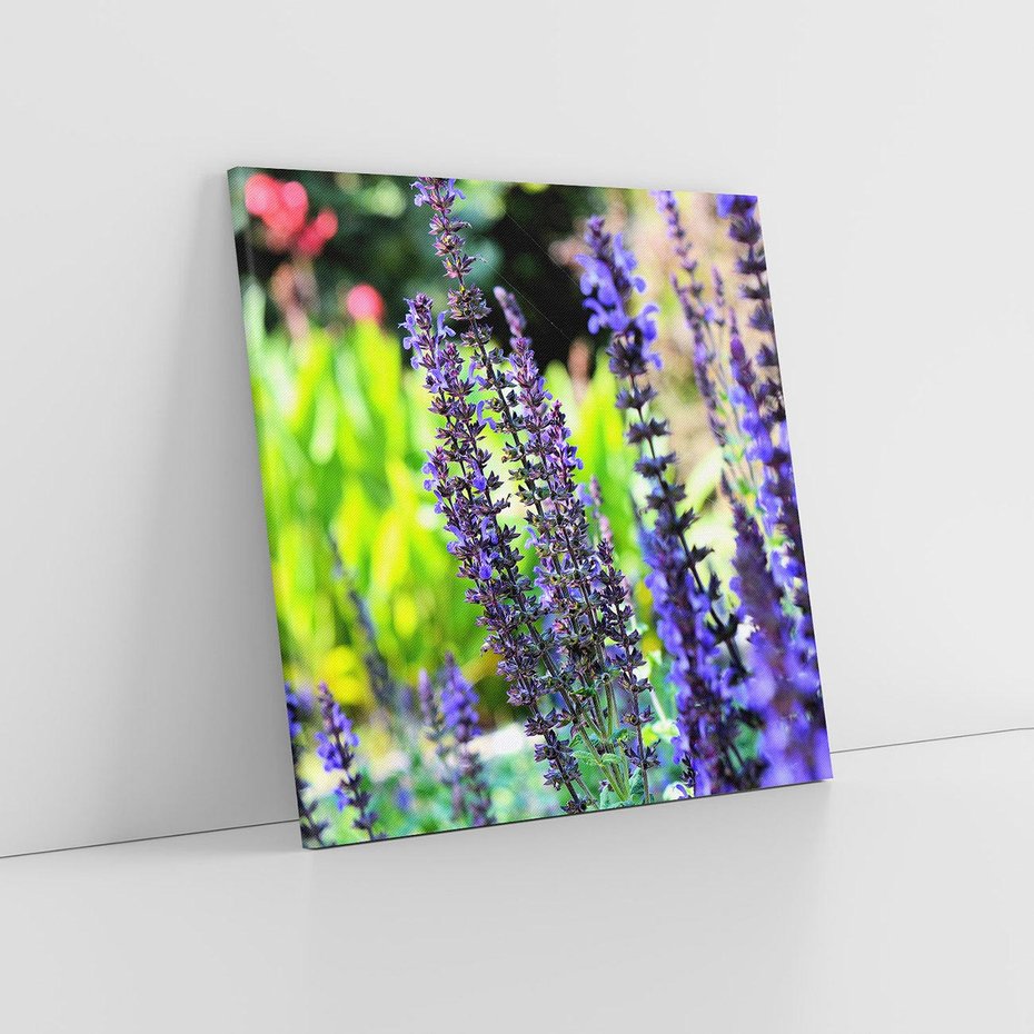 Obraz na płótnie 30x30 - Ogród Lawendowy - lawenda, kwiat