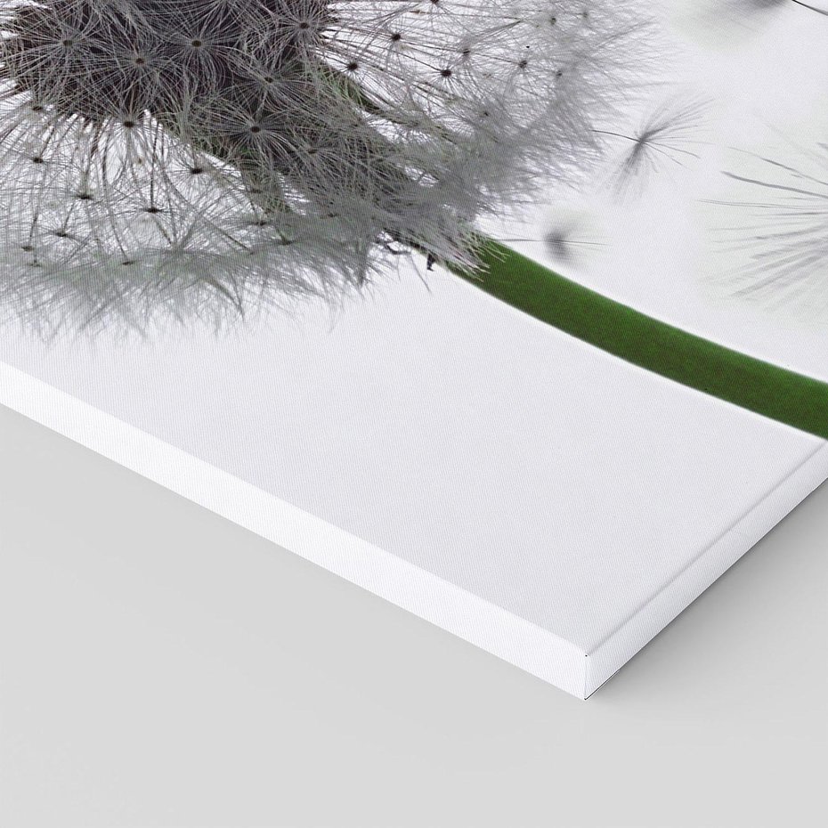 Obraz na płótnie 30x30 - Lekkość Przemijania - dmuchawiec, makro