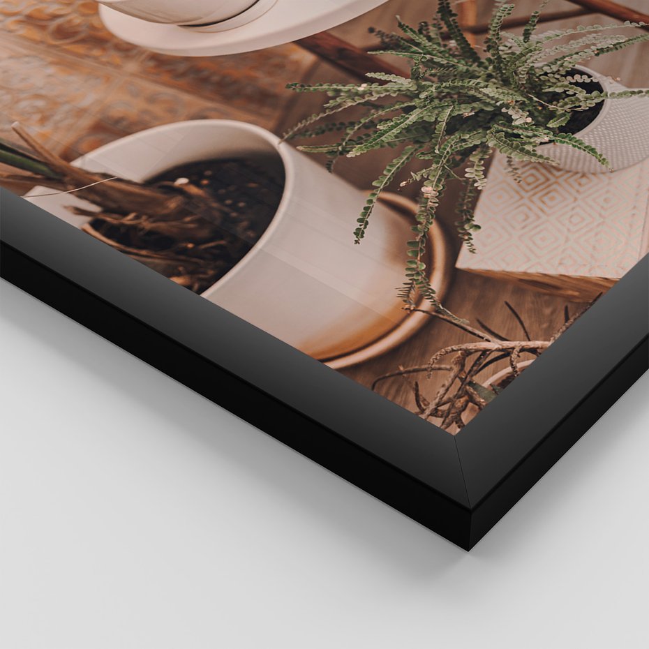 Zestaw obrazy w ramie 30x40 galeria - Kwiaty, kaktusy, w, doniczkach, boho - rama czarna