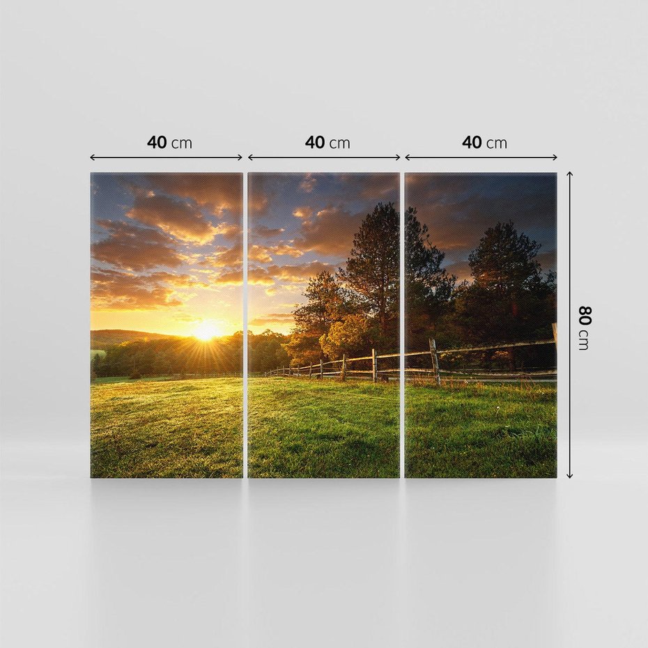 Obraz na płótnie 120x80 - Urok zachodu słońca na łące z drzewami - łąka, zachód