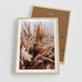 Plakat w ramie 50x70 - Sztuka Suszonych Traw - trawa pampas, suszone trawy - rama drewno