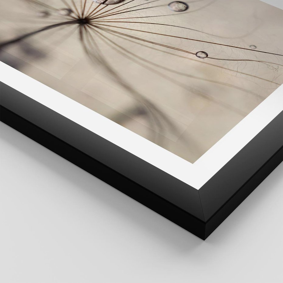 Plakat w ramie 40x50 - Makro Uroda: Kropla na Dmuchawcu - zbliżenie makro, kropla wody na ziarenku dmuchawca - rama czarna