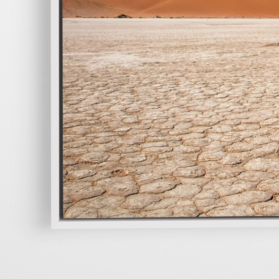 Obraz w ramie 70x100 - Słońce i Suche Drzewo - pustynia, suche - rama biała