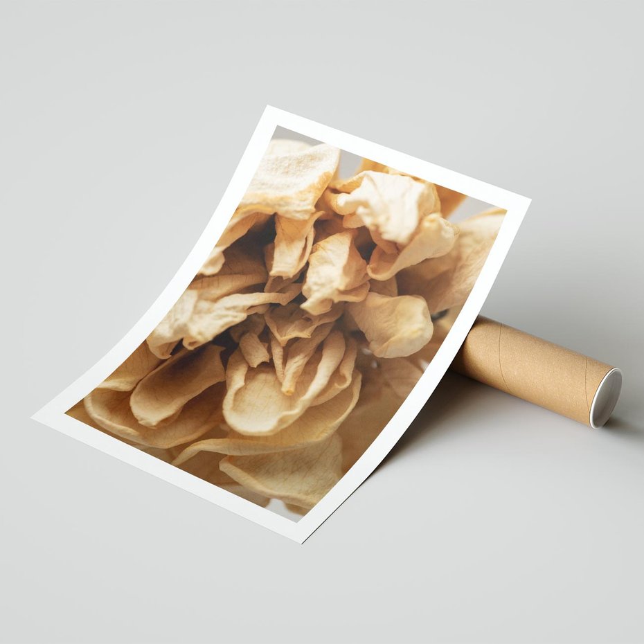 Plakat bez ramy 50x70 - Zjawiskowe zasuszone kwiaty - zasuszone, kwiaty