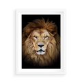 Plakat w ramie 50x70 - Król zwierząt w majestatycznym stylu - lew, król - rama biała