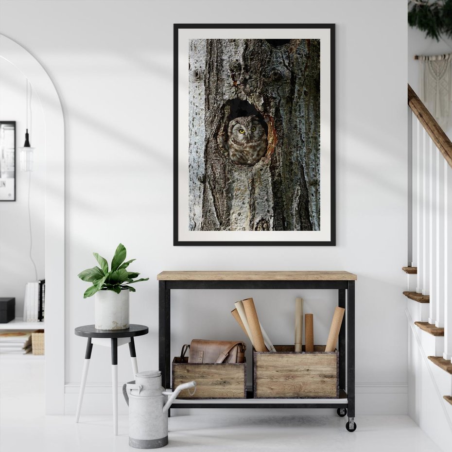 Plakat bez ramy 21x30 - Tajemniczy W świecie Nocy - sowa, dziupla