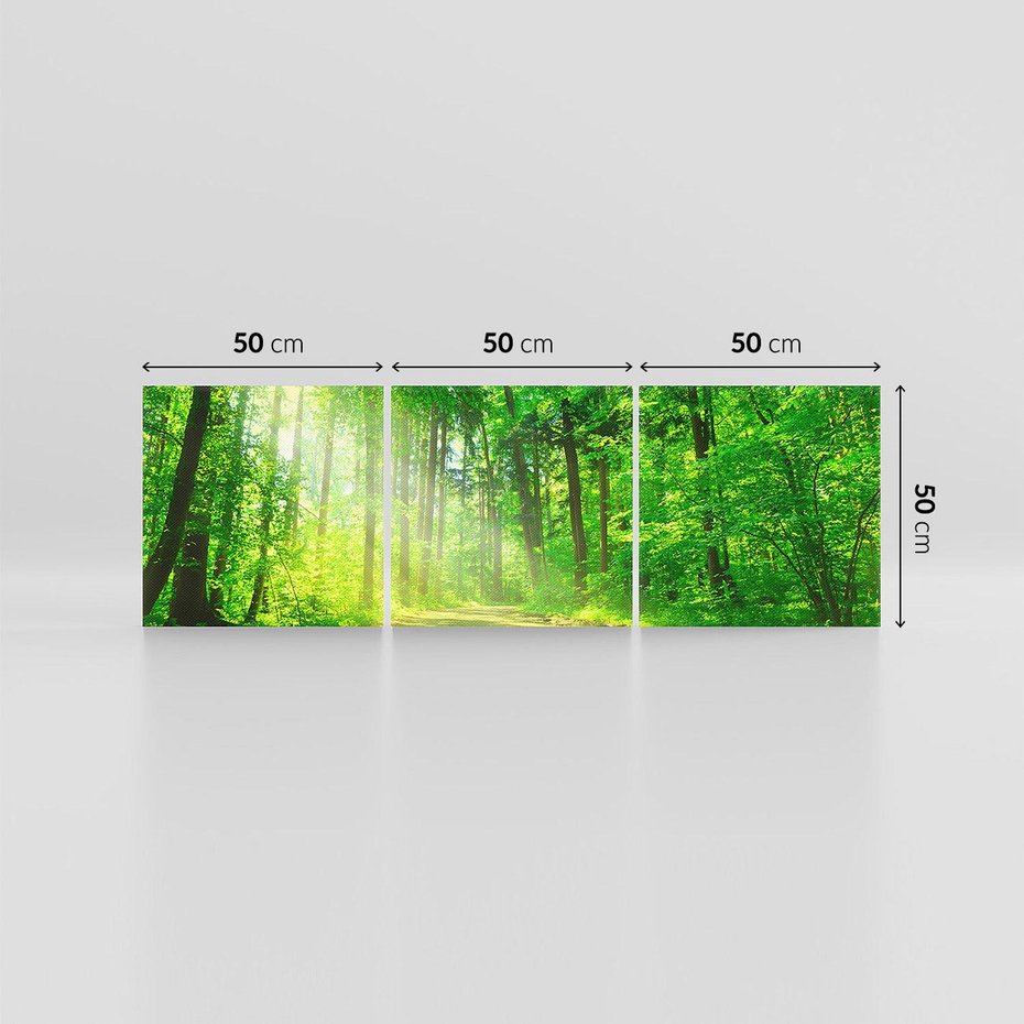Obraz na płótnie 150x50 - Urok lasu na drodze - las, drzewa