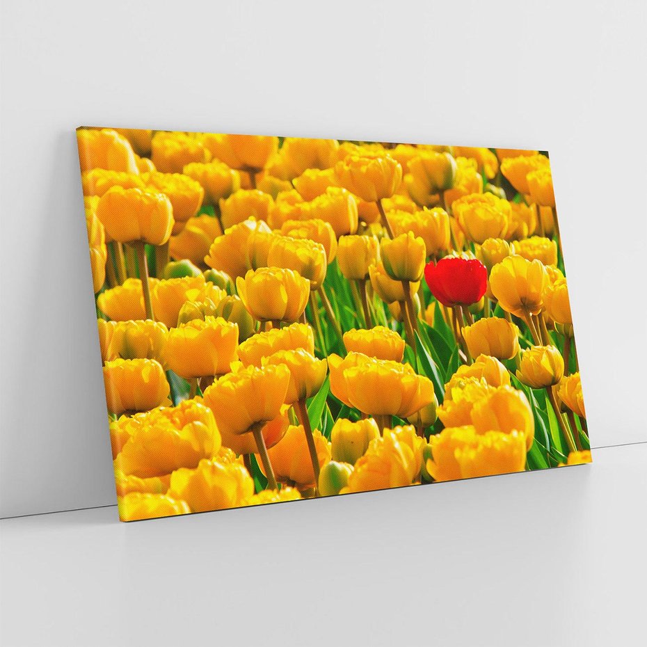 Obraz na płótnie 120x80 - kwiatowa elegancja - tulipany, kwiat