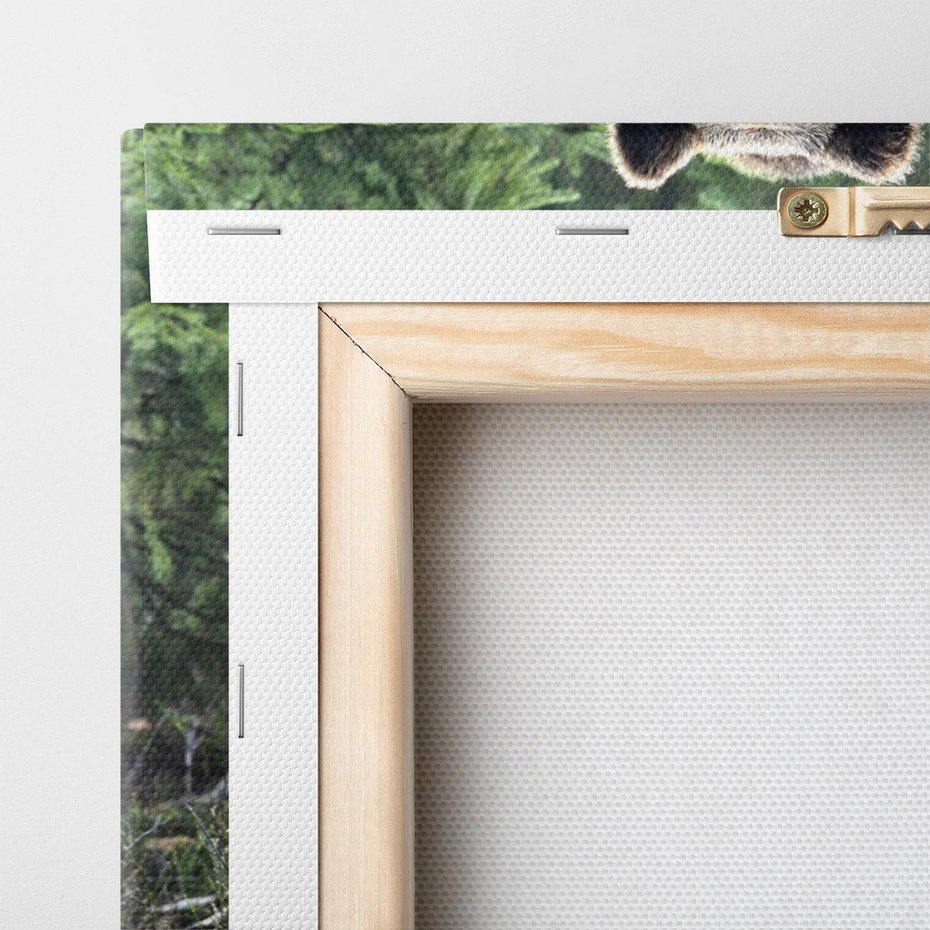 Obraz na płótnie 120x80 - Spotkanie z Niedźwiedziem w Lesie - niedźwiedź, las