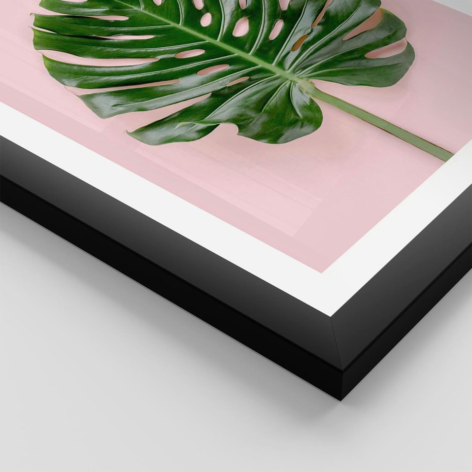 Plakat w ramie 30x40 - Monstera w Różowym Świetle - liść monstery, różowe tło - rama czarna