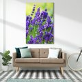 Obraz na płótnie 80x120 - Elegancka lawenda w pełnym rozkwicie - lawenda, kwiaty