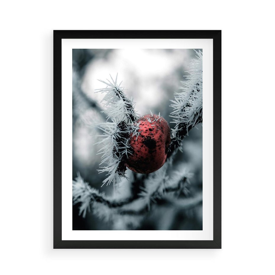 Plakat w ramie 50x70 - Chwila Zimowego Uroku - zima, ośnieżona gałązka - rama czarna