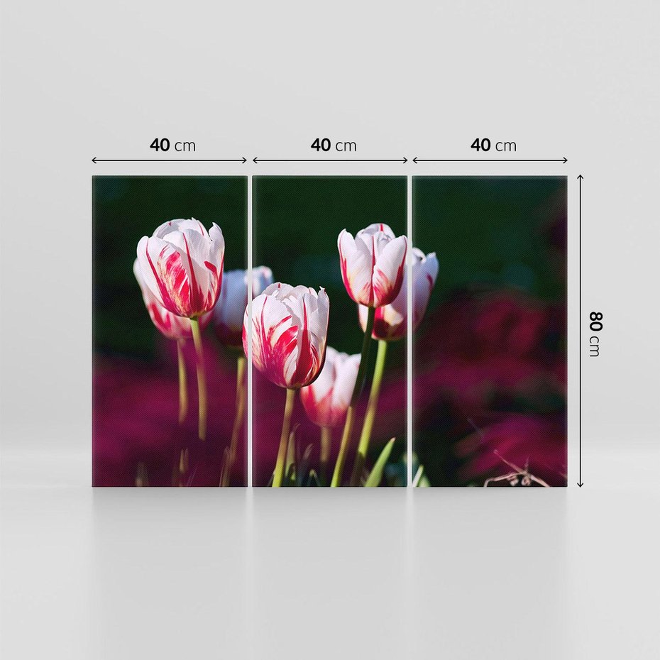 Obraz na płótnie 120x80 - Kwiatowy raj w naturze - kwiat, kwiaty