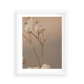 Plakat w ramie 40x50 - Subtelna gipsówka - gipsówka, suche - rama biała