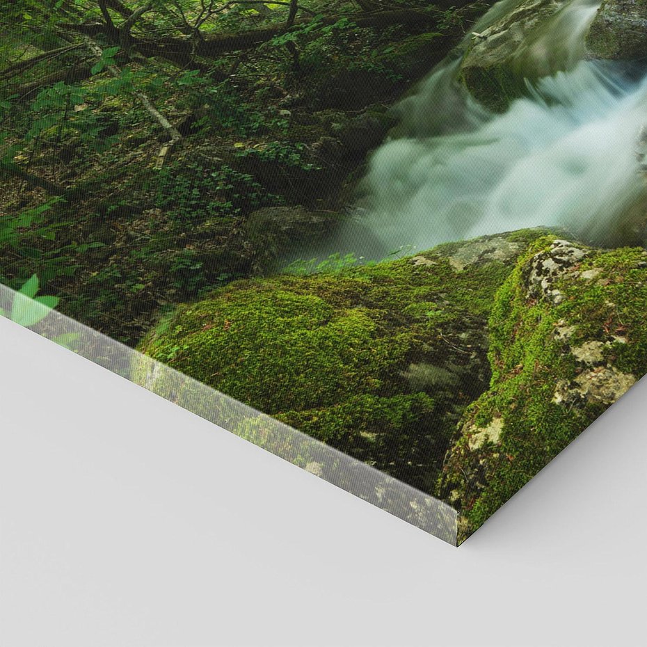 Obraz na płótnie 120x60 - Ukojenie strumienia: Spotkanie z naturą - strumyk, las