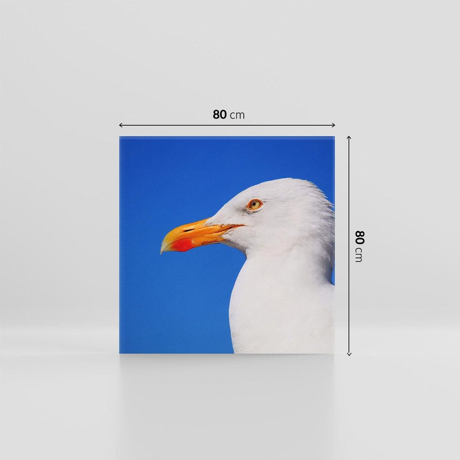 Obraz na płótnie 80x80 - Mewa nad morzem - mewa, pstak