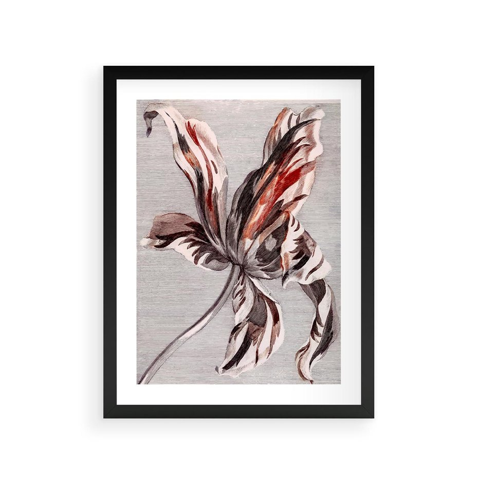 Plakat w ramie 30x40 - Graficzna Elegancja - nowoczesna sztuka, grafika - rama czarna