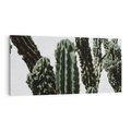 Obraz na płótnie 140x70 - Boho oaza wśród kaktusów - kaktusy, pustynia