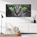 Obraz na płótnie 140x70 - Przestreń nautra  doznania - kot, kotek