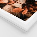Plakat w ramie 50x70 - Jesienna Paleta - liście, jesień - rama biała