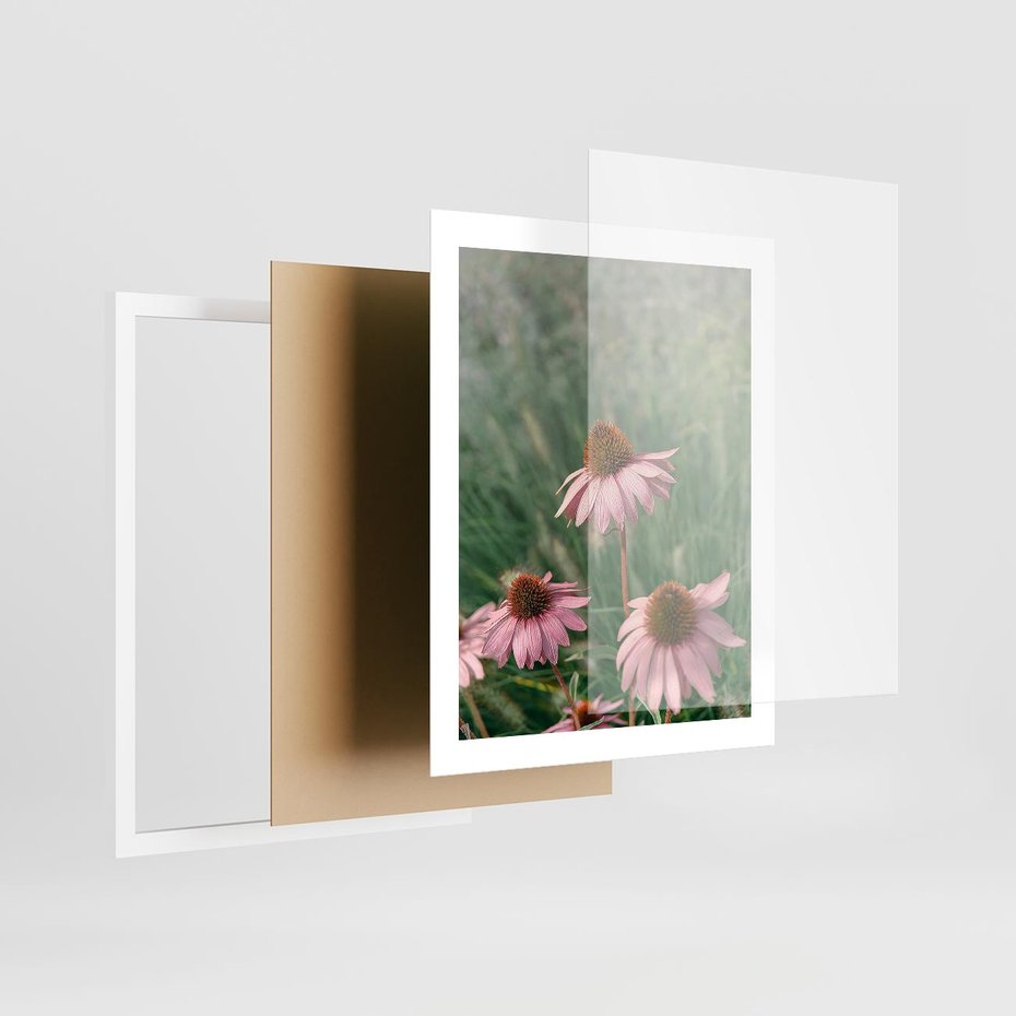 Plakat w ramie 40x50 - Natura w Pełnym Blasku - kwiaty na łące, różowe kwiaty polne - rama biała