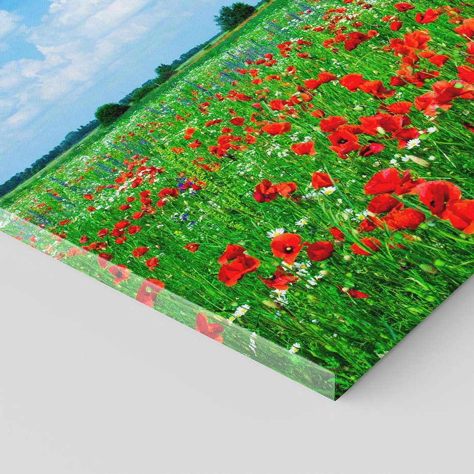 Obraz na płótnie 30x30 - Kolorowa łąka pełna maku - łąka, maki