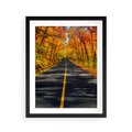 Plakat w ramie 40x50 - Droga przez jesienny las - droga, las - rama czarna