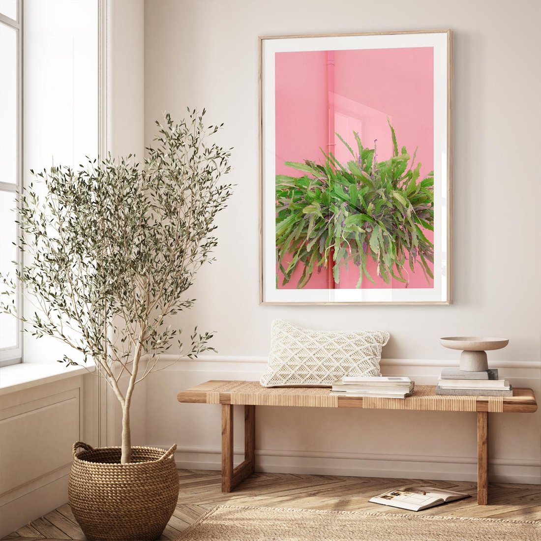 Plakat w ramie 50x70 - Fotografia Rośliny z Różowym Tłem - fotografia, zielona roślina na tle różwj ściany - rama drewno